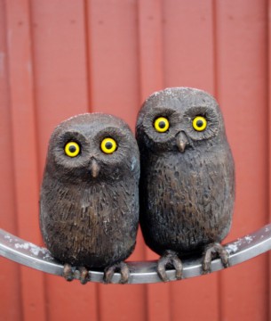 Trädugglor & Pudu